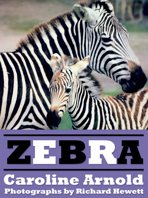 Title details for Zebra by Caroline Arnold - Available